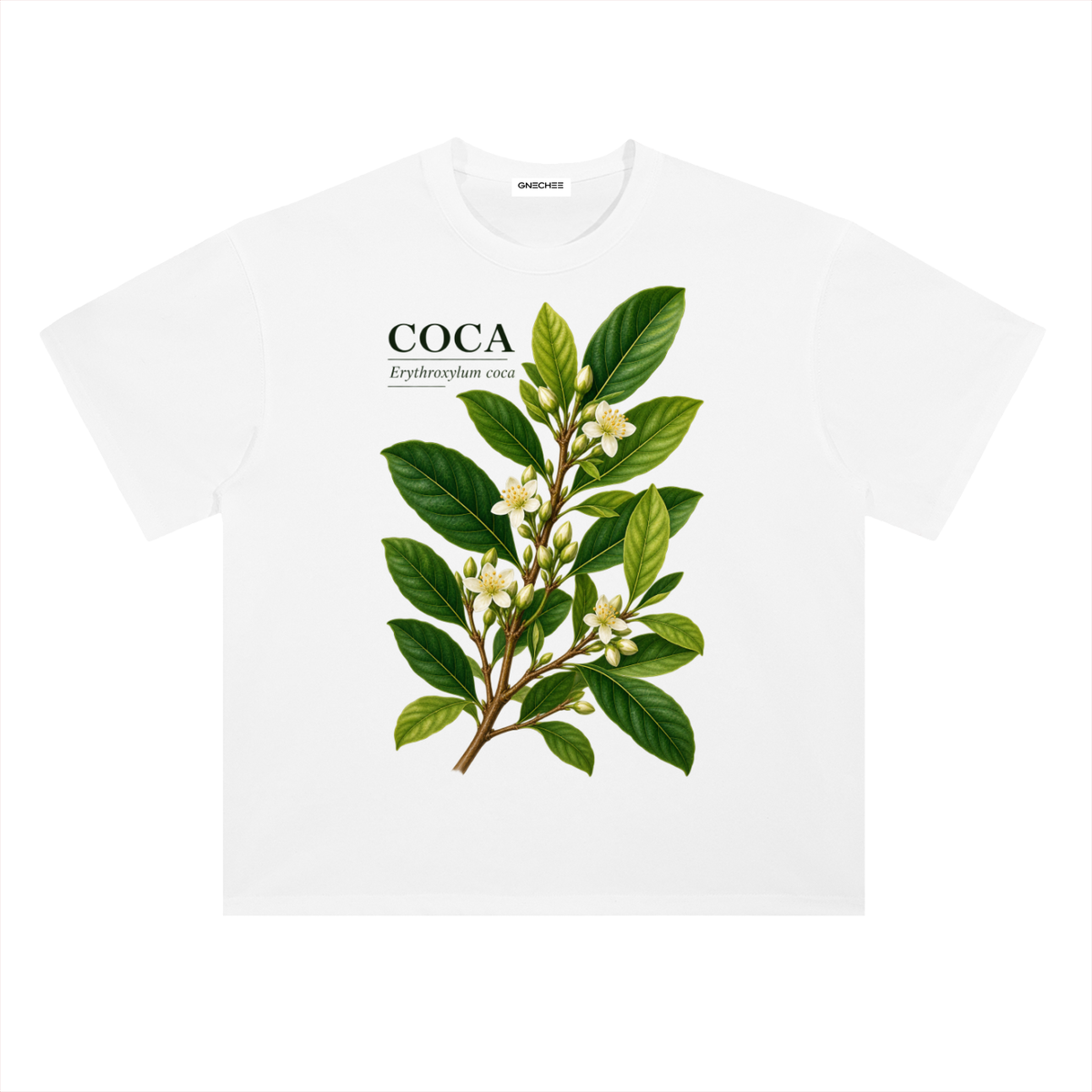 Heavyweight Drop Shoulder Cotton T-Shirt